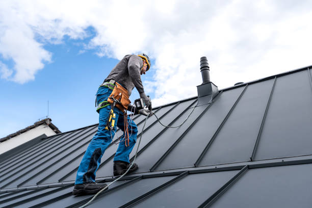 Best Gutter Installation and Repair  in Blplay, AL